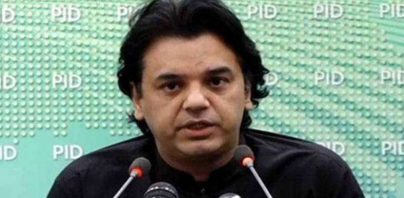 Govt launches app to track ongoing plantation campaign: Usman Dar