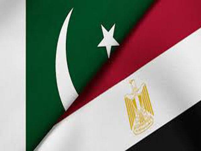 Egypt keen to further enhance bilateral trade ties with Pakistan: Envoy