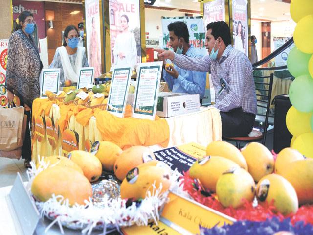 Punjab contributes 70pc to country’s mango production: Punjab Minister for Agriculture