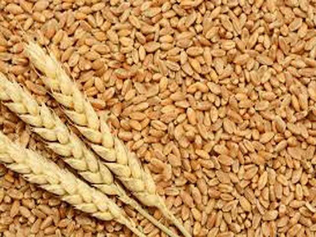 KP, Balochistan recommend federal govt to increase MSP of wheat