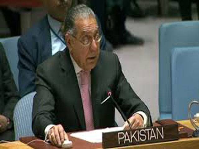 Pak suggests debt relief to aid developing countries recover from COVID-19 crisis