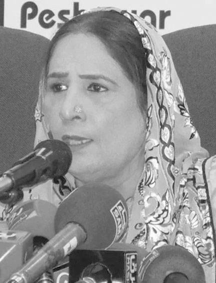 Woman MPA accuses KP governor of supporting land grabbers