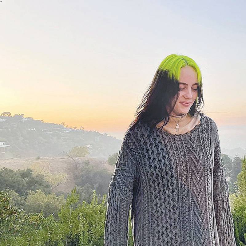 Billie Eilish spotted enjoying panoramic views of a sunset