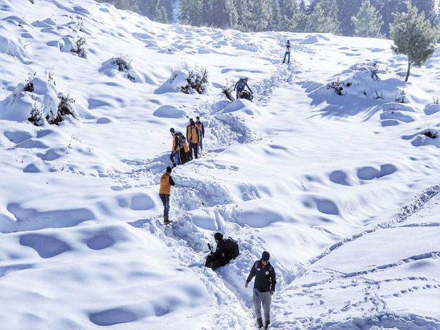Tourists throng Galyat to enjoy live snowfall