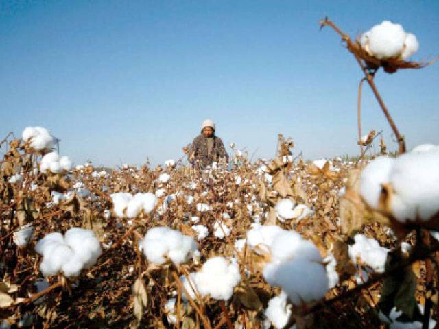 Textile exporters for duty free import of cotton yarn