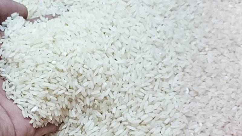 Rice exporters vow to provide better working environment to growers