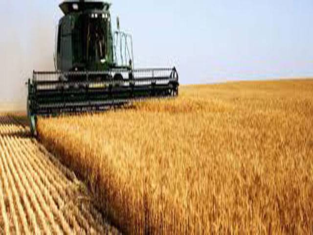 Farmers advised to adopt modern technology during wheat harvesting