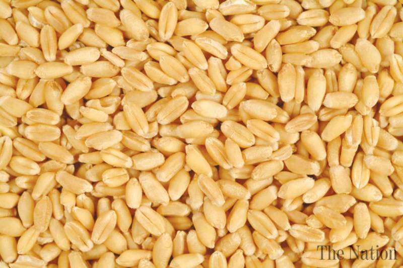 NA committee opposes wheat import