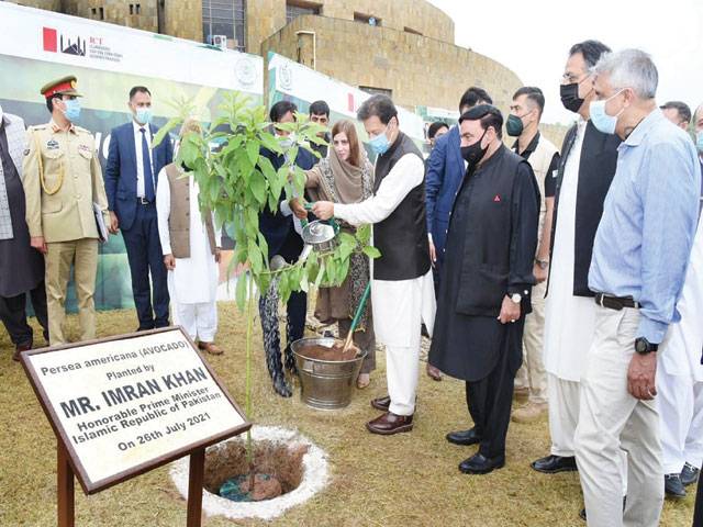 PM launches countrywide monsoon plantation drive