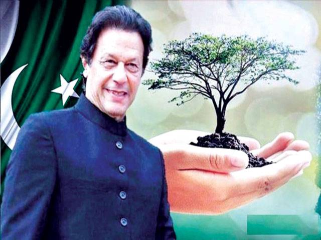 PM to inaugurate Myawaki urban forest in Lahore today