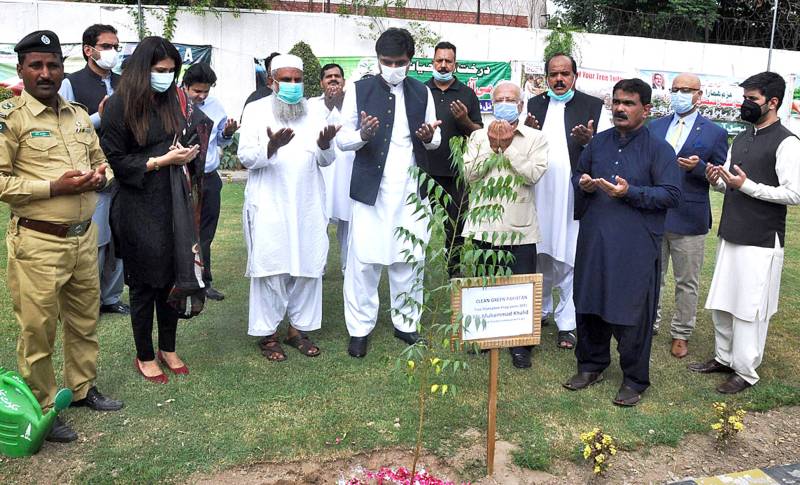 Pakistan being transformed into clean, green country: Dr Ishrat