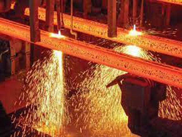 12-day marathon with investors for revival of Steel Mills ends