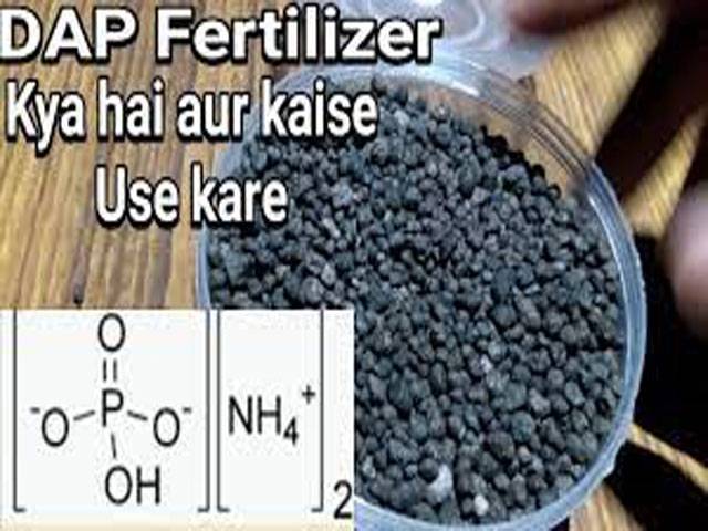 DAP fertiliser sale declines due to exorbitant price, subsidy issues