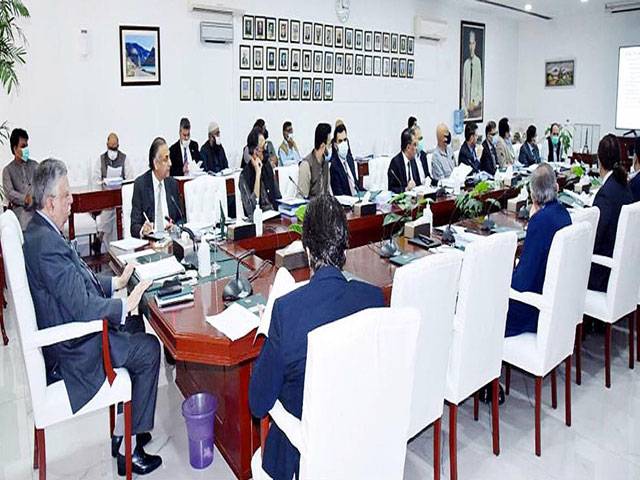 ECC makes changes in incentives offered to overseas Pakistanis under NRLP