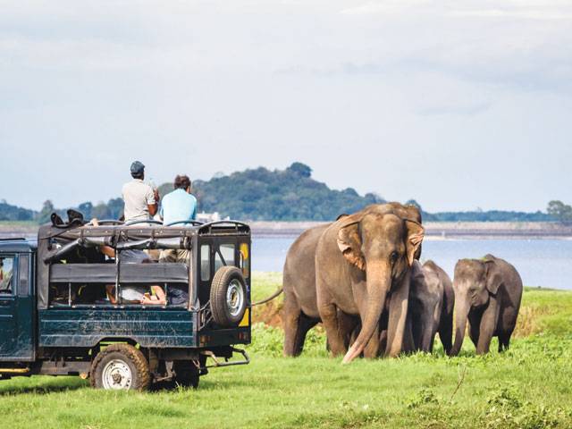 Sri Lanka records over 7,000 tourists arrivals in October