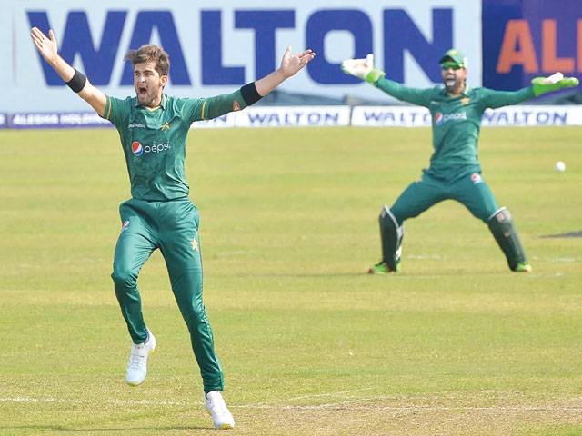 Pakistan win T20 series with 8-wicket win