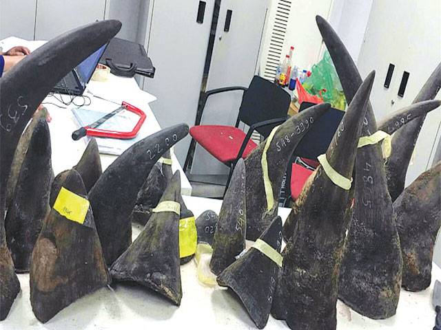 Vietnam gives longest ever jail term for  trading rhino horn