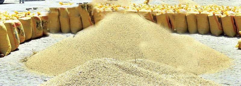 Rice export surges by 19pc to $594.5m in 4 months