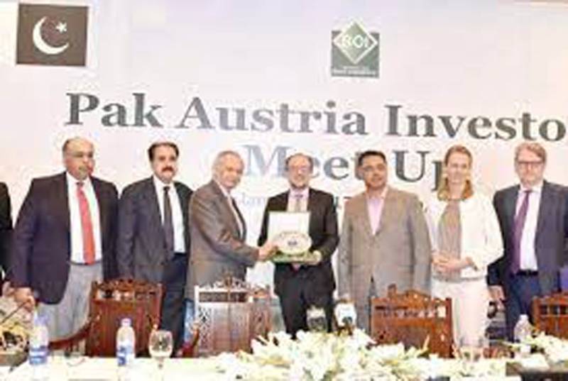 Dawood assures Austrian investors of full govt support