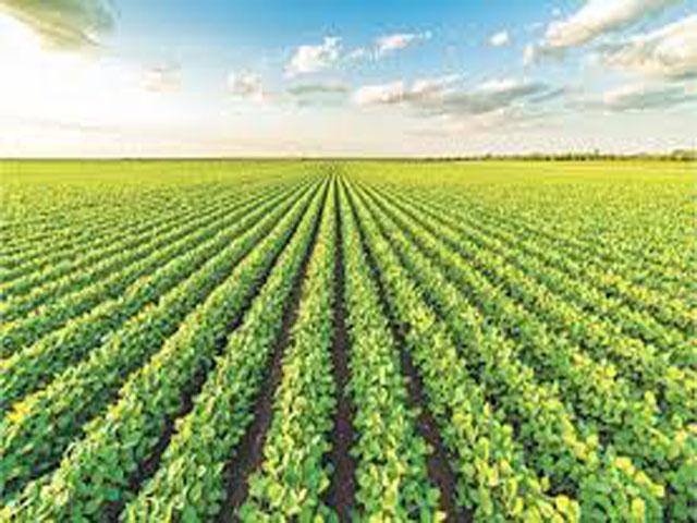 Agri chemicals imports up by 75pc in nine months
