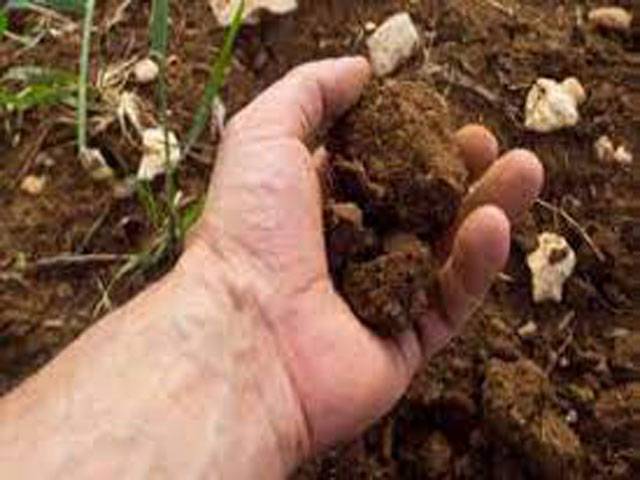 Soil analysis vital to improve soil fertility, enhance production