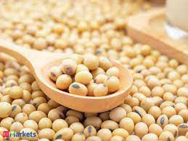 Imports of soyabean increase 101.96pc, palm 44.64pc