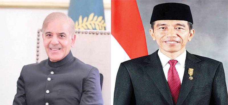 Pakistan, Indonesia agree to cement bilateral cooperation