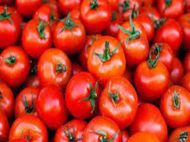 Sino techs expected to raise Pakistan tomato production