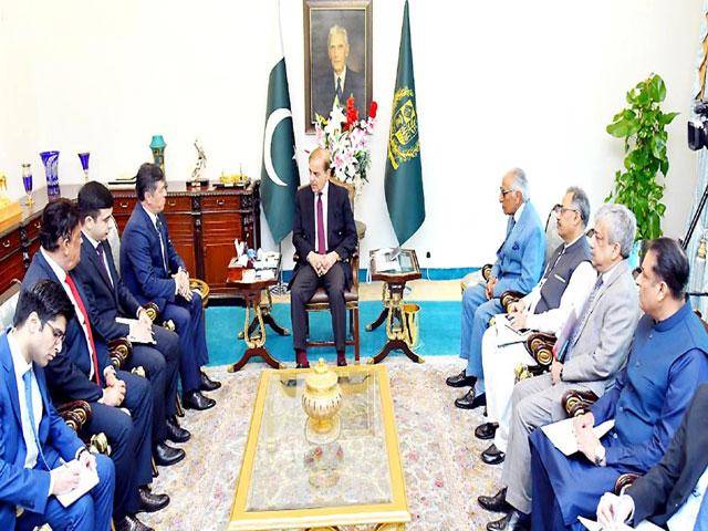 PM constitutes committee to address problems faced by foreign companies
