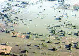Floodwaters continue breaching Sindh canals
