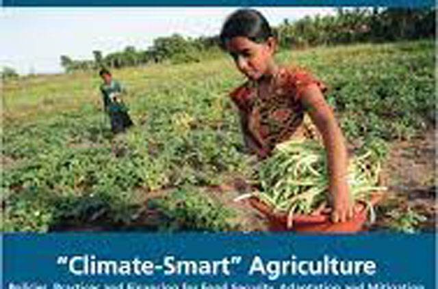Climate smart agriculture promises food safety