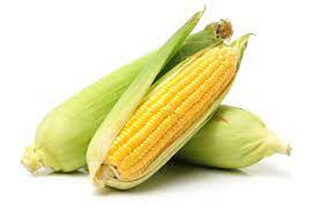 Maize can help meet domestic food needs: Expert