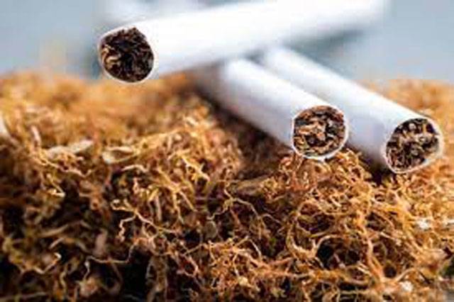 Tobacco export increases 55.79 percent in 4 months