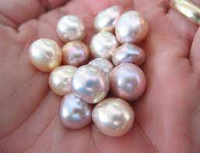 Pearl farming can revolutionise agriculture sector in Pakistan