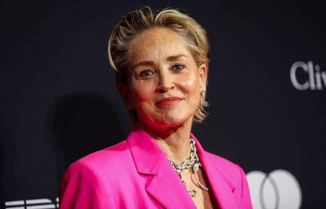 Sharon Stone says Basic Instinct role cost her custody of her son