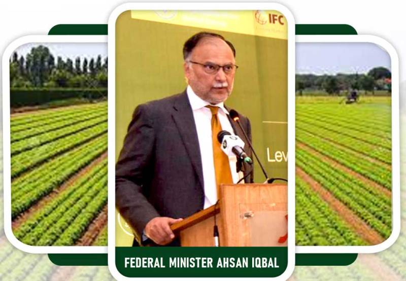 Pakistan needs to promote agriculture, livestock sector to ensure food security, says Ahsan