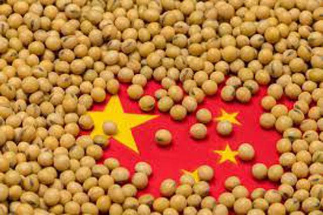Oilseed production can be increased with Chinese coop

 | Pro IQRA News