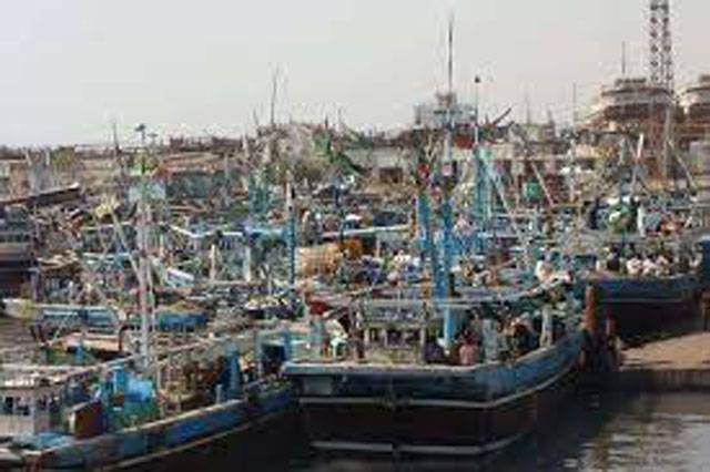 Pakistan needs to improve hygienic controls in fishing value chain