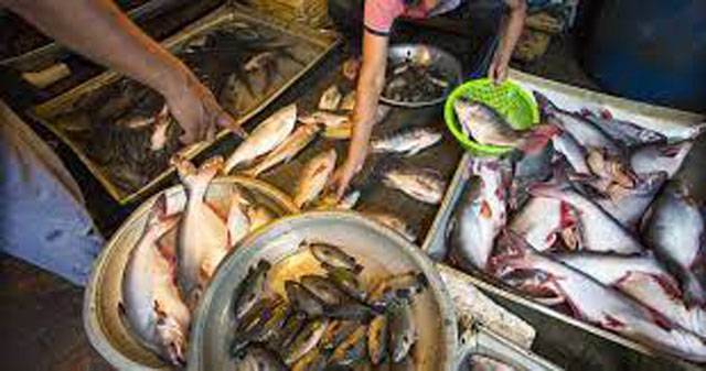 Time to focus on quality standards to boost seafood export