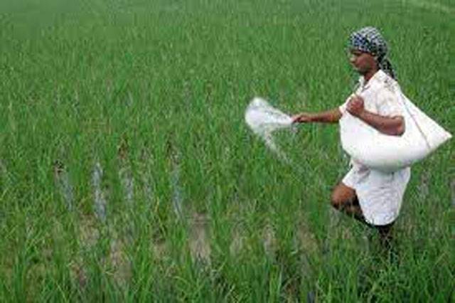 Provinces default on paying their 50pc share in subsidy on urea import