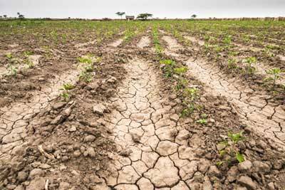 Recurring heatwaves will intensify water scarcity, worsen droughts, warns Economic Survey