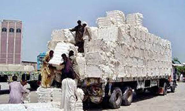 Over 1.4m bales of cotton arrival recorded at ginneries till Aug 1