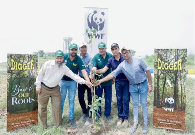 Digger starts planting 4000 saplings