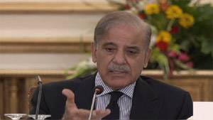 PM Shehbaz calls for seat adjustment ahead of polls