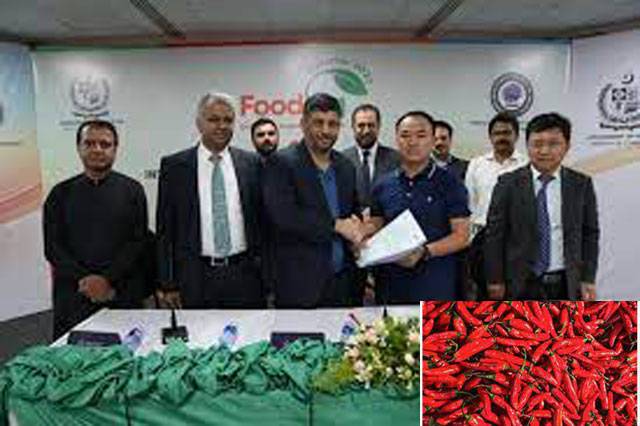 MoU signed to facilitate Pakistani chili export to China
