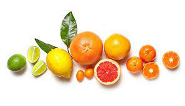 Kazakhstan one of major markets for citrus exports