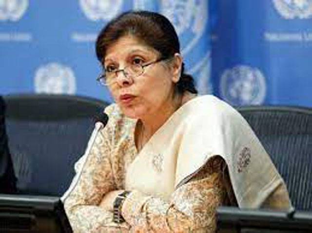 Interim regime committed to IMF programme: Dr Shamshad