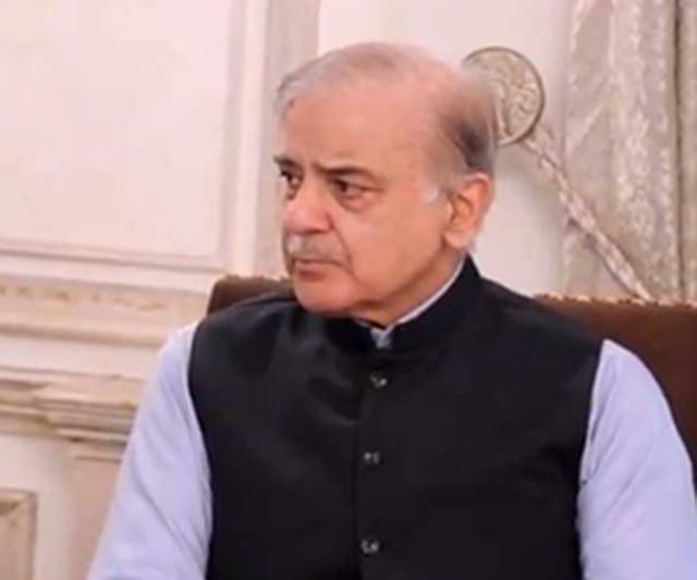 Shehbaz says PML-N’s victory in polls vital to resolve country’s problems