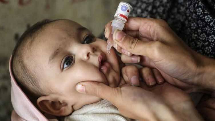 KP confirms new polio virus case