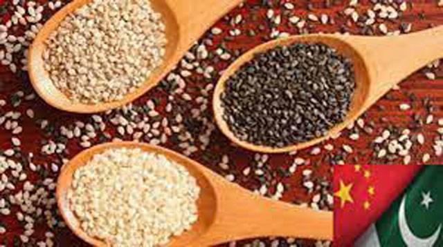 Pakistan’s sesamum seed exports reach all-time high of $113m